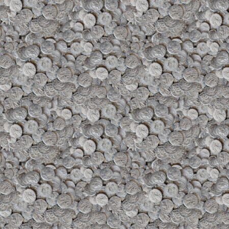 Silver Roman Coins 22