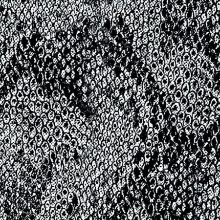 Snakeskin 44