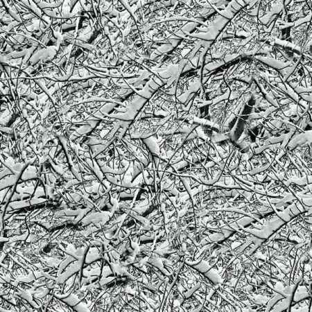 Snow Branches 22 Camouflage