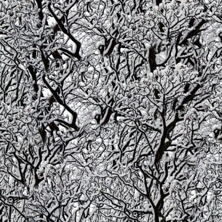 Snow Tree 22 Camouflage