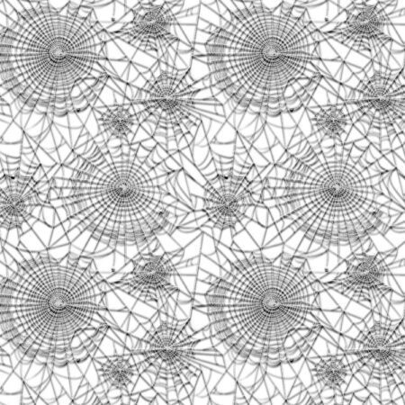 Spider Webs 23