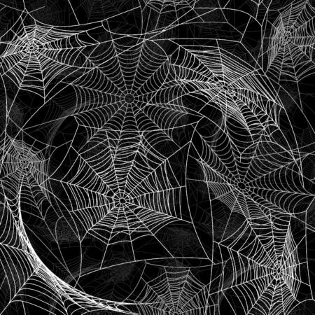 Spider Webs 25