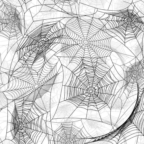 Spider Webs 26