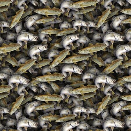 Spotted Sea Trout 22