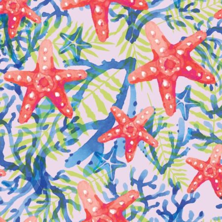 Summer Sea Stars