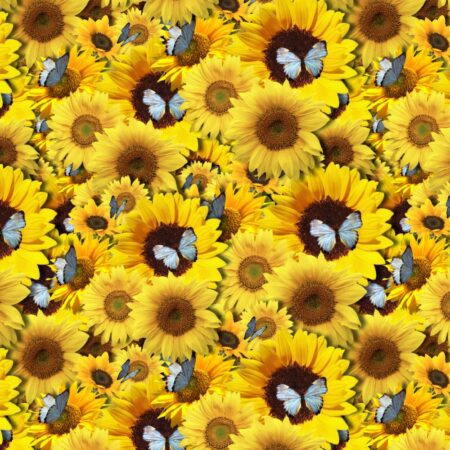 Sunflowers and Butterflies 2