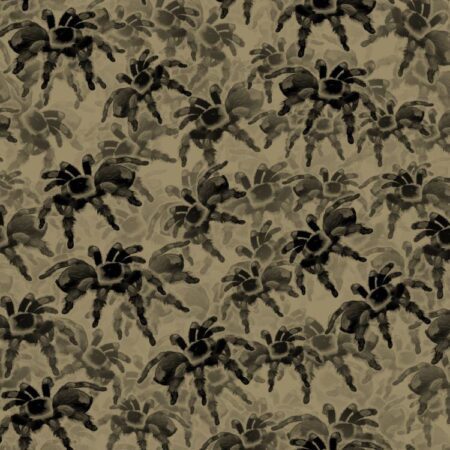 Tarantulas 24 Camo