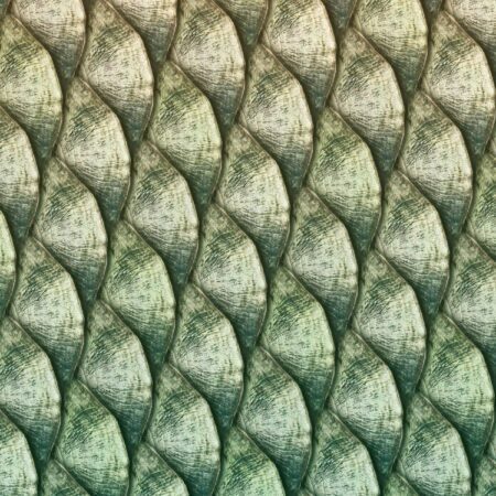 Tarpon Fish Scales 22