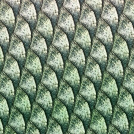Tarpon Fish Scales 23