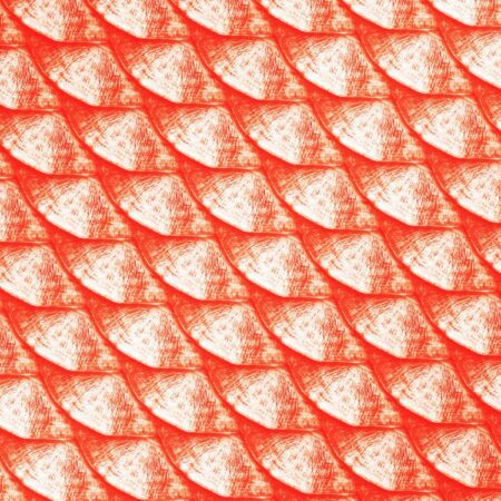 Tarpon Fish Scales 24