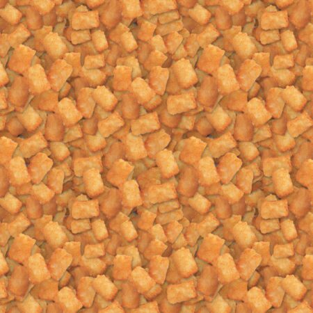Tater Tots 22