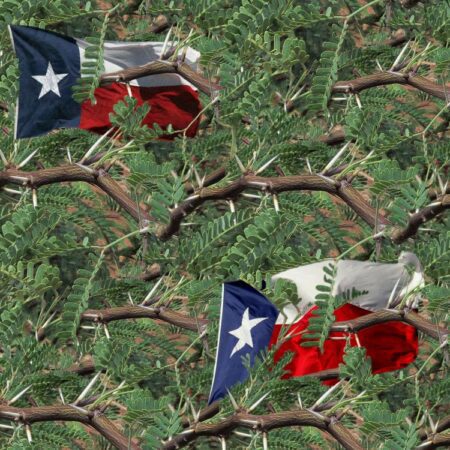 Texas Mesquite 22 Camouflage