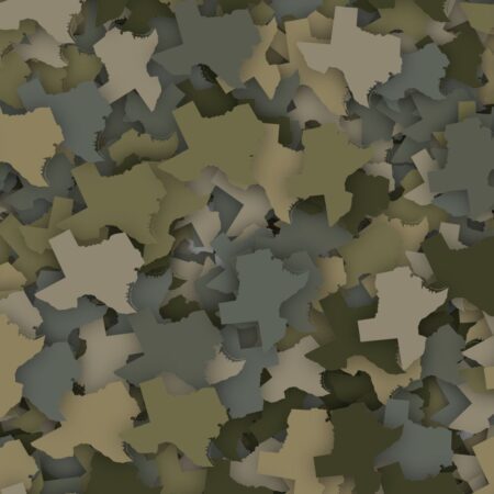 Texas Camo 2