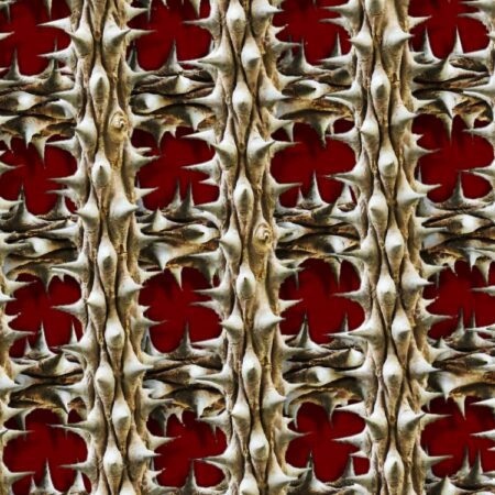 Thorny Vines 27