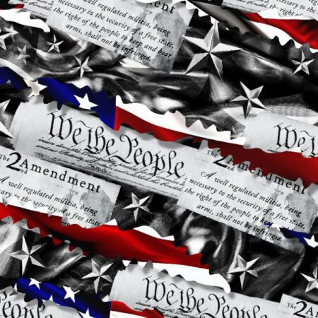 Torn Second Amendment 22