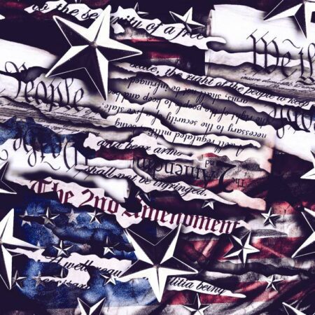 Torn Second Amendment 23