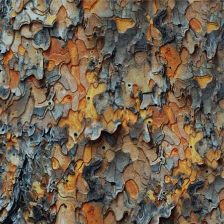 True Bark 24 Camouflage