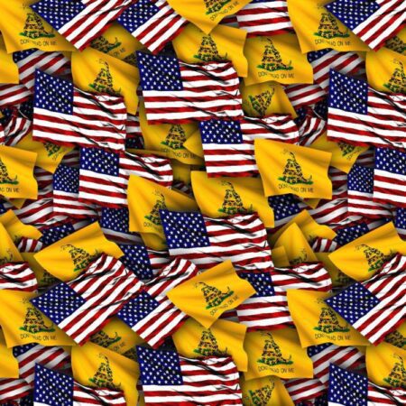 US Gadsden Flags 23