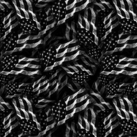 Black and White American Flag