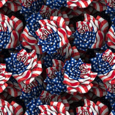US Flag Rose