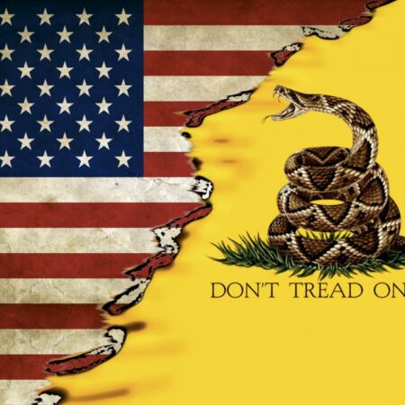 US and Gadsden Flag