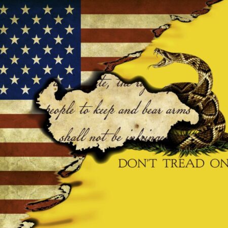 US/Gadsden/Second Amendment Flag