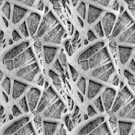 Vine Wrapped Tree Camo