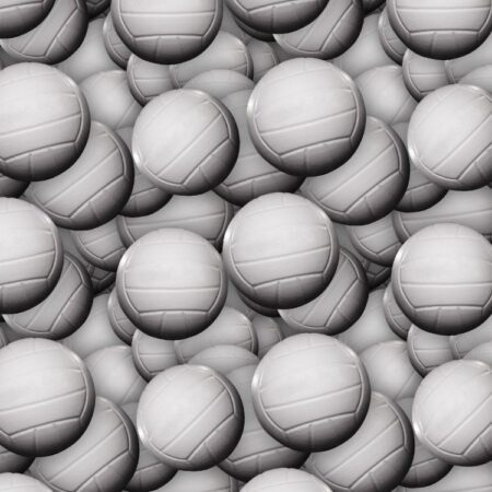 Volleyballs 22