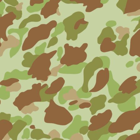 WWII Frogskin 23 Camouflage
