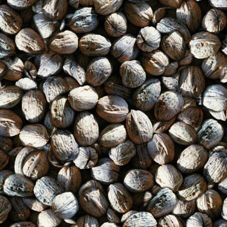 Walnuts