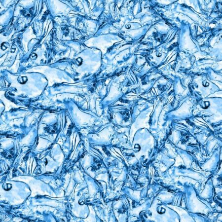 Water Out of Fish 23