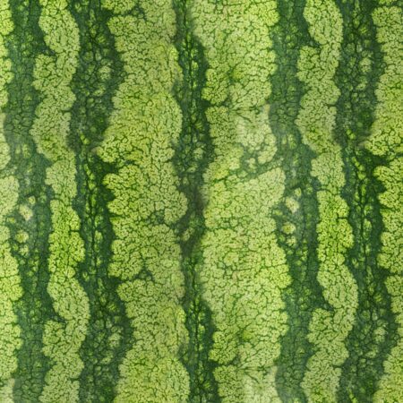 Watermelon Rind 22
