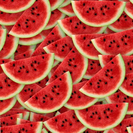 Watermelon Slices 22