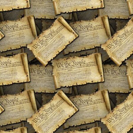 We the People Constitutional Scroll 22