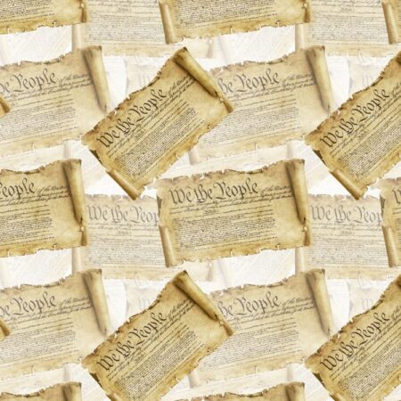 We the People Constitutional Scroll 23