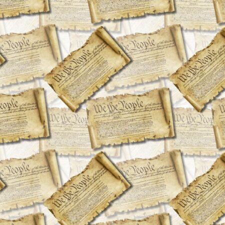 We the People Constitutional Scroll 24