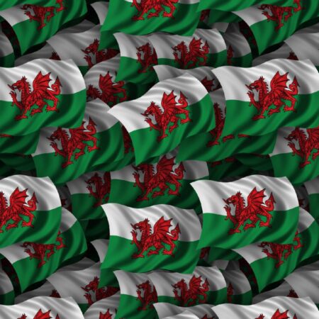 Welsh Flag 22