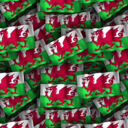 Welsh Flag 23