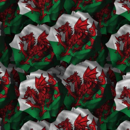 Welsh Flag Rose