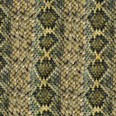 Western Diamondback Rattler Scales