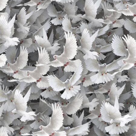 White Doves 22