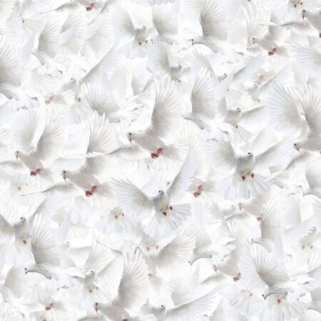 White Doves 23