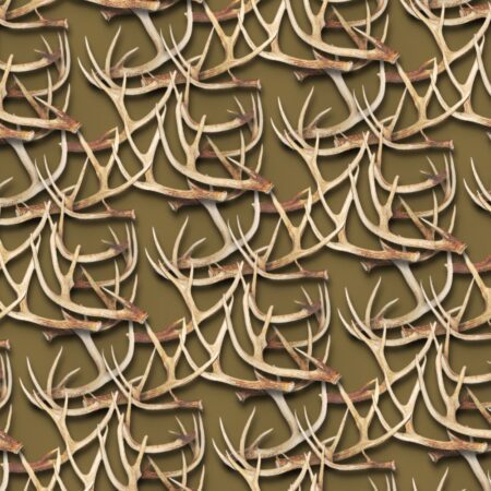 White Tail Deer Antlers 25