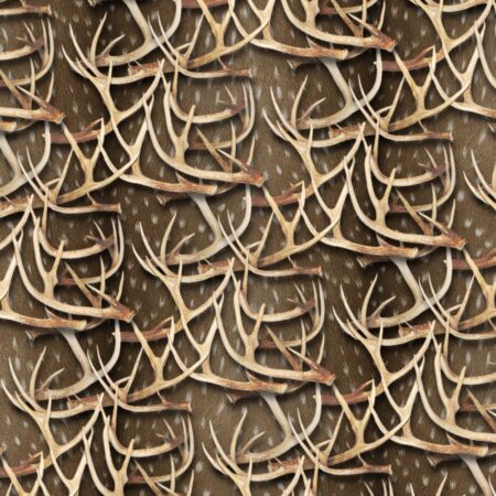 White Tail Deer Antlers 27