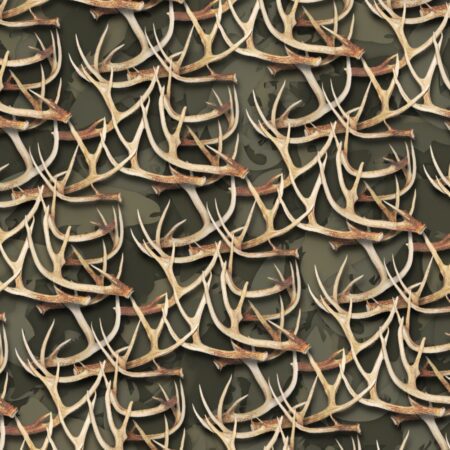 White Tail Deer Antlers 29