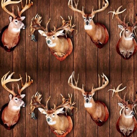 White Tail Deer Trophy 23