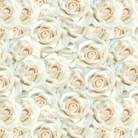White Roses