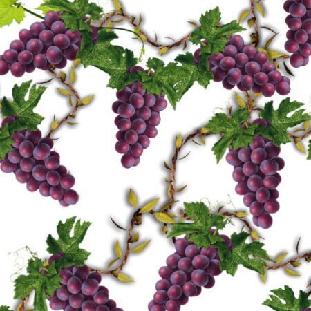 Grapes