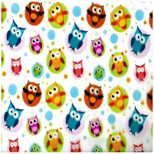 Rainbow Owl Parade