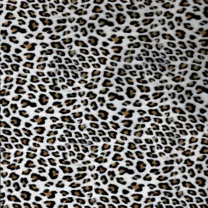 Leopard Luxe